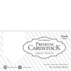 12x12 Great White Premium Cardstock 377691