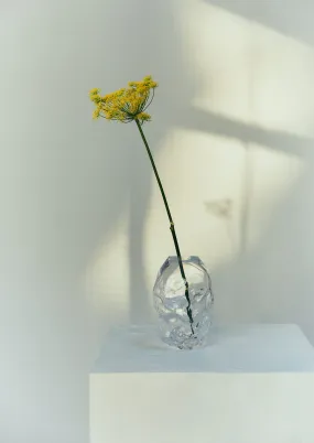 Rosie Stonham Medium Membrane Vase | Transparent