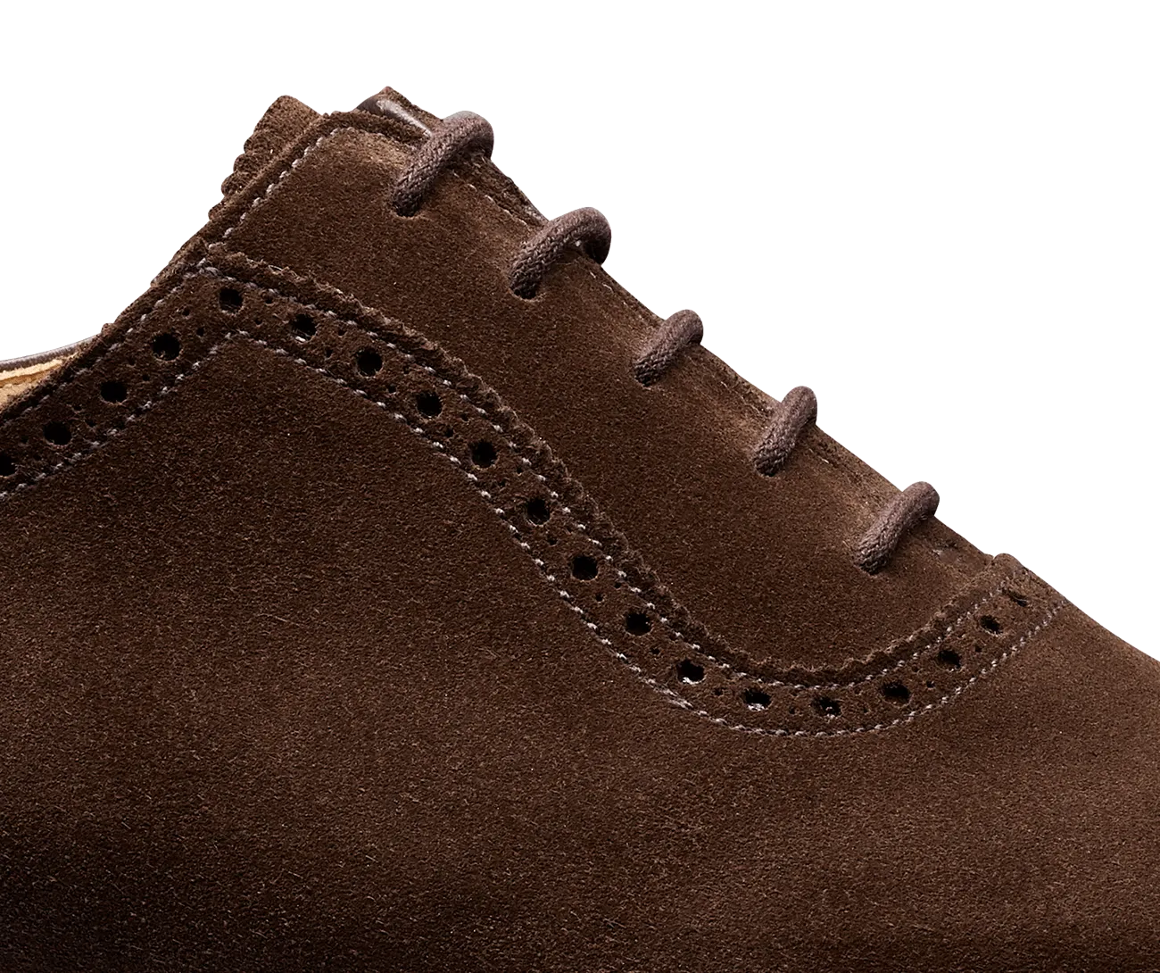 Westbourne Dark Brown Calf Suede